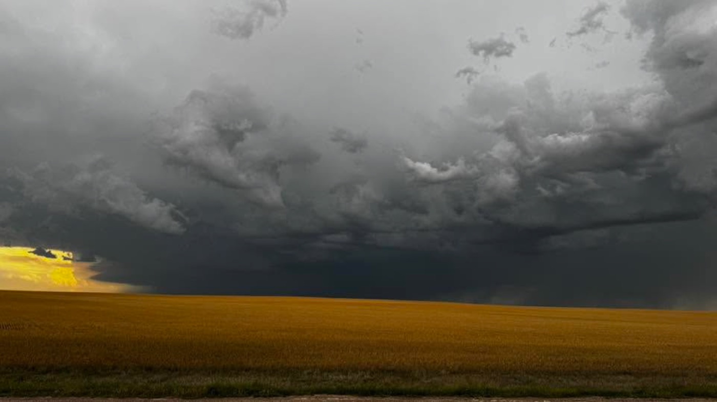 Storm clouds over a golden wheat field along the route